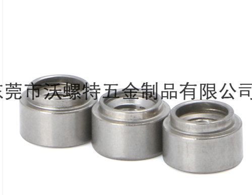 不锈钢涨铆螺母